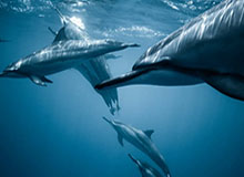 MK体育在线-e星体育APP：让热爱无处不在，带你穿越每一个精彩瞬间